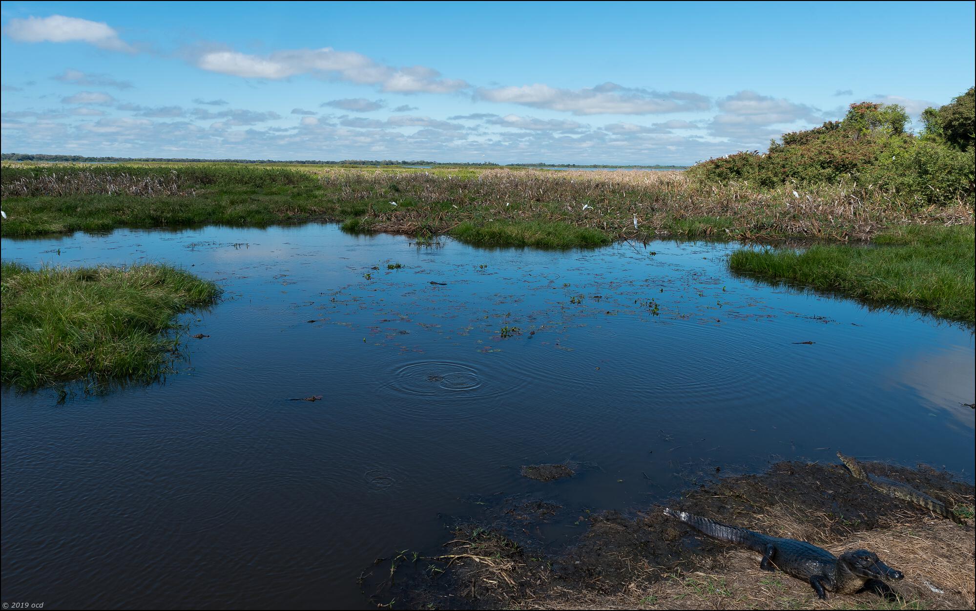 paysage-pantanal-un