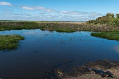 paysage-pantanal-un