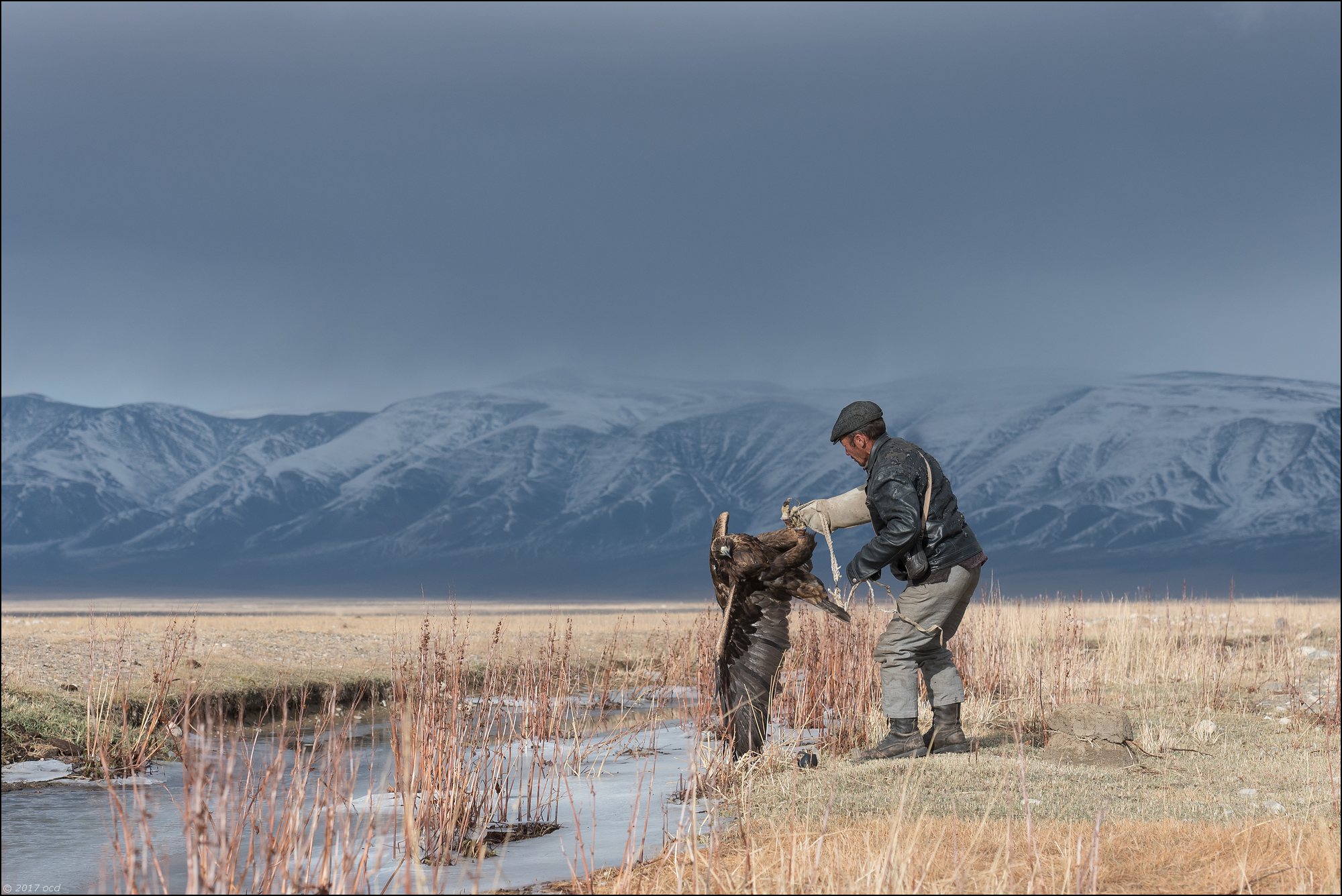 Mongolie-2017-39