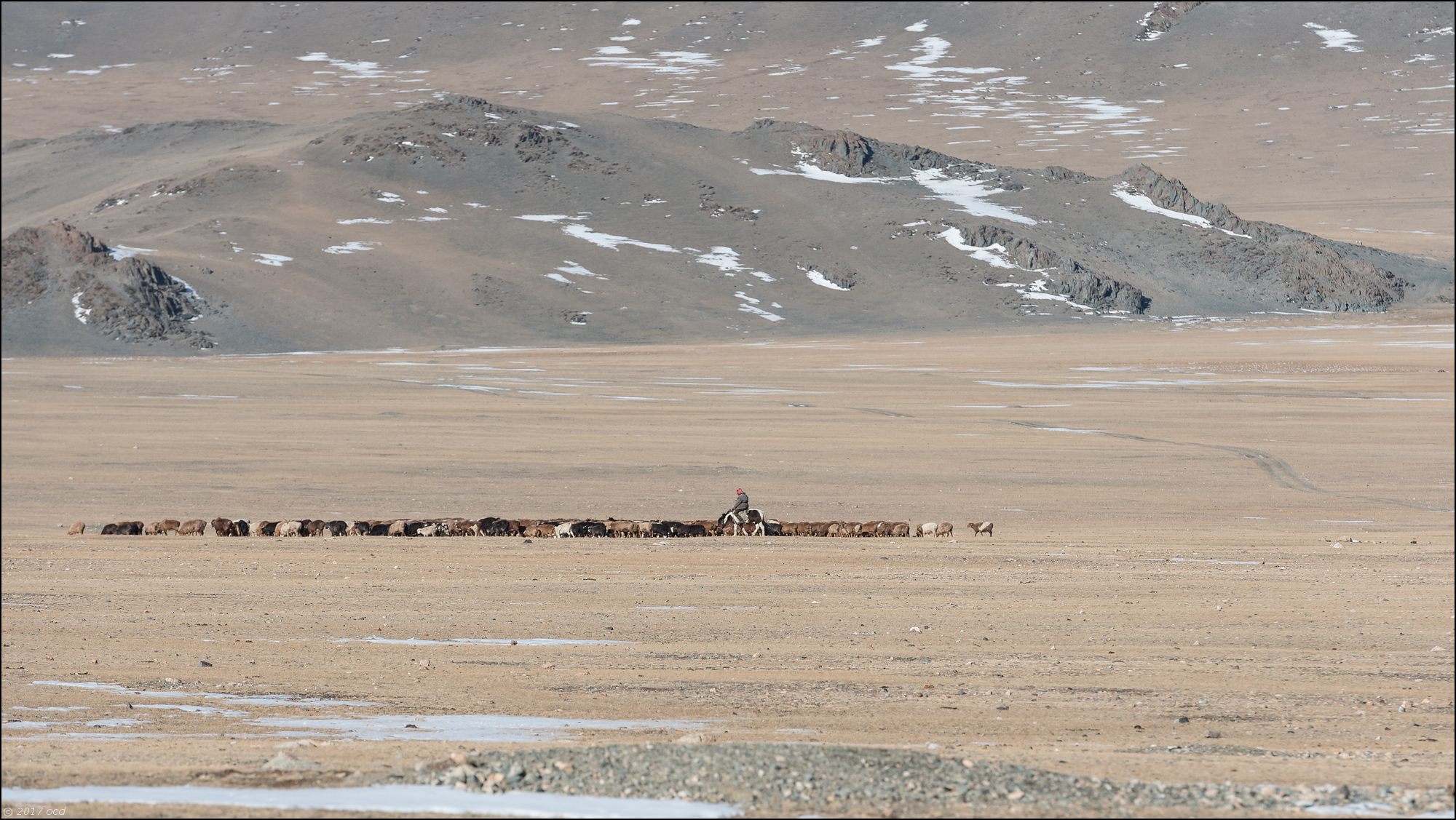 Mongolie-2017-55