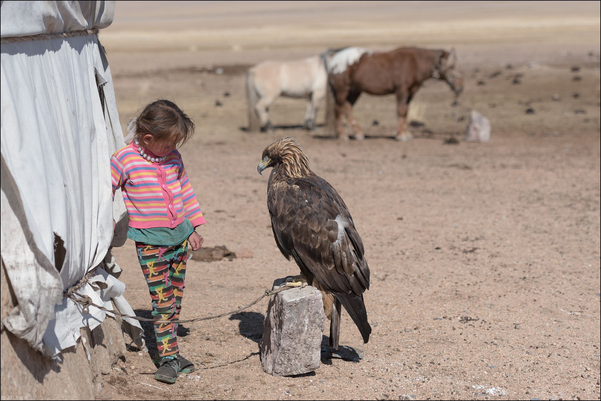 Mongolie-2017-8