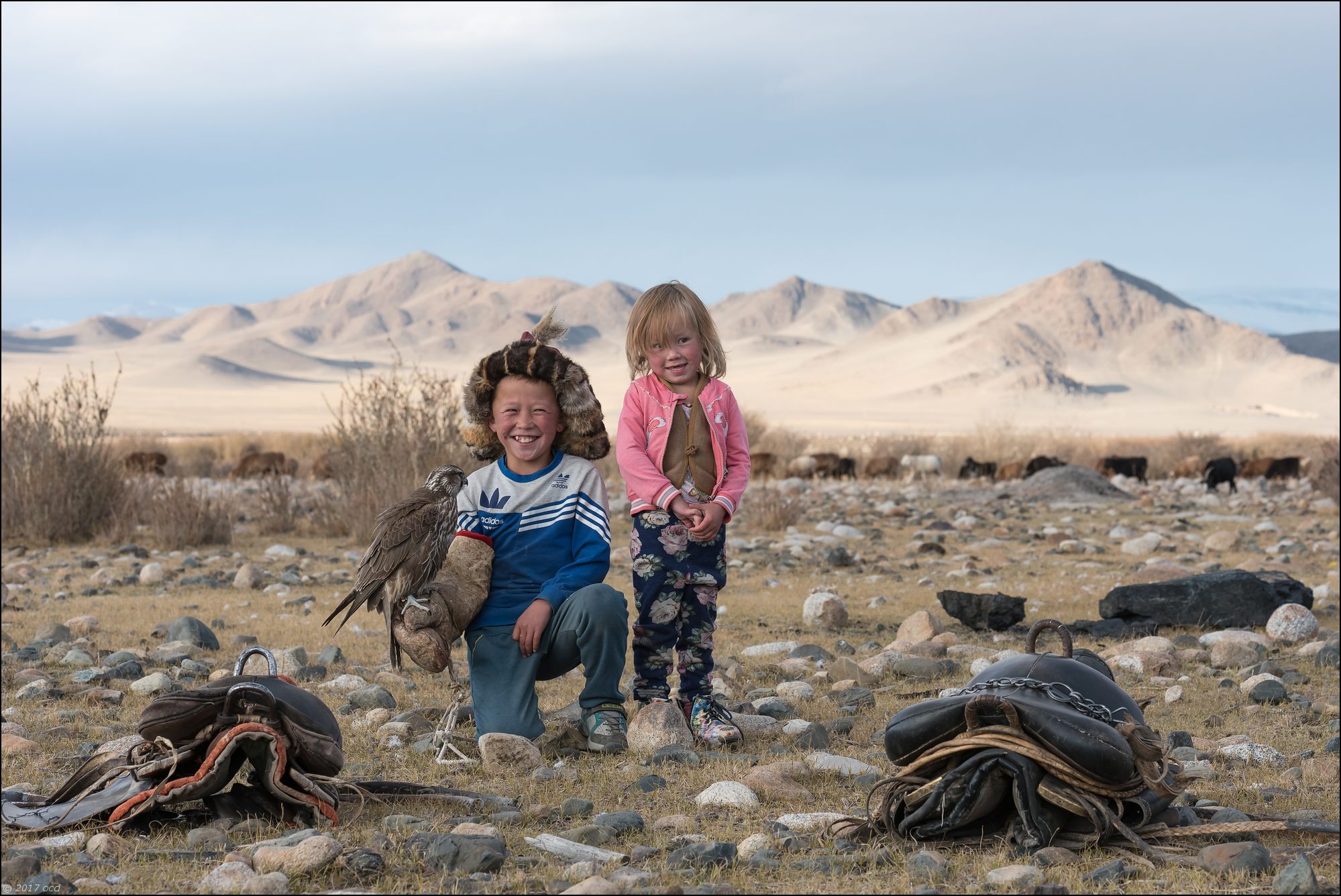 Mongolie-2017-enfant