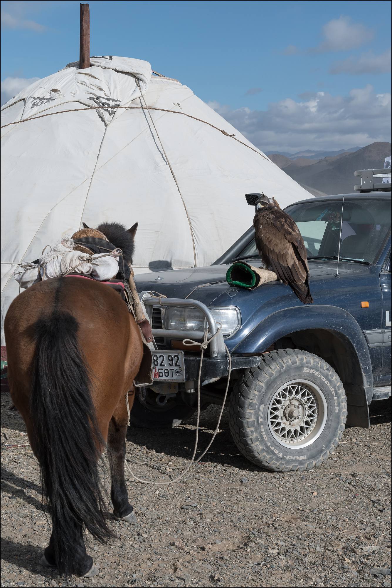 Mongolie-festival-dixneuf