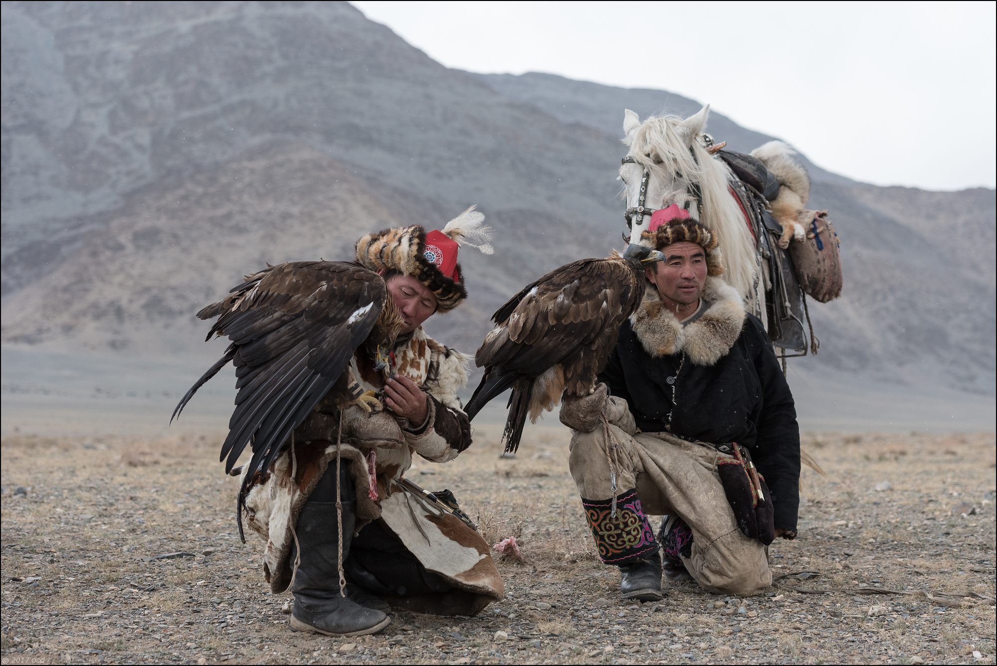 Mongolie-festival-dixsept