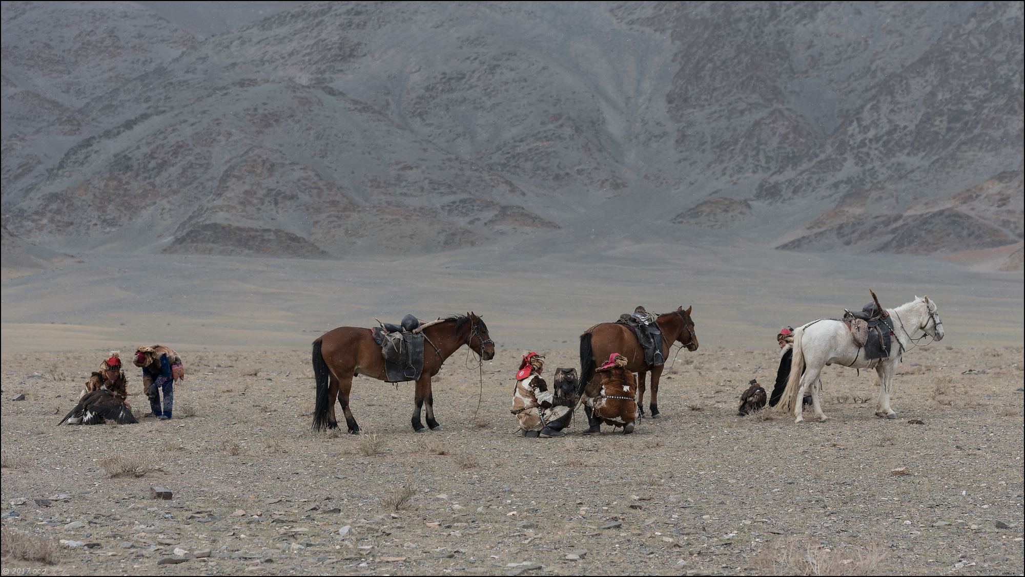 Mongolie-festival-quatorze