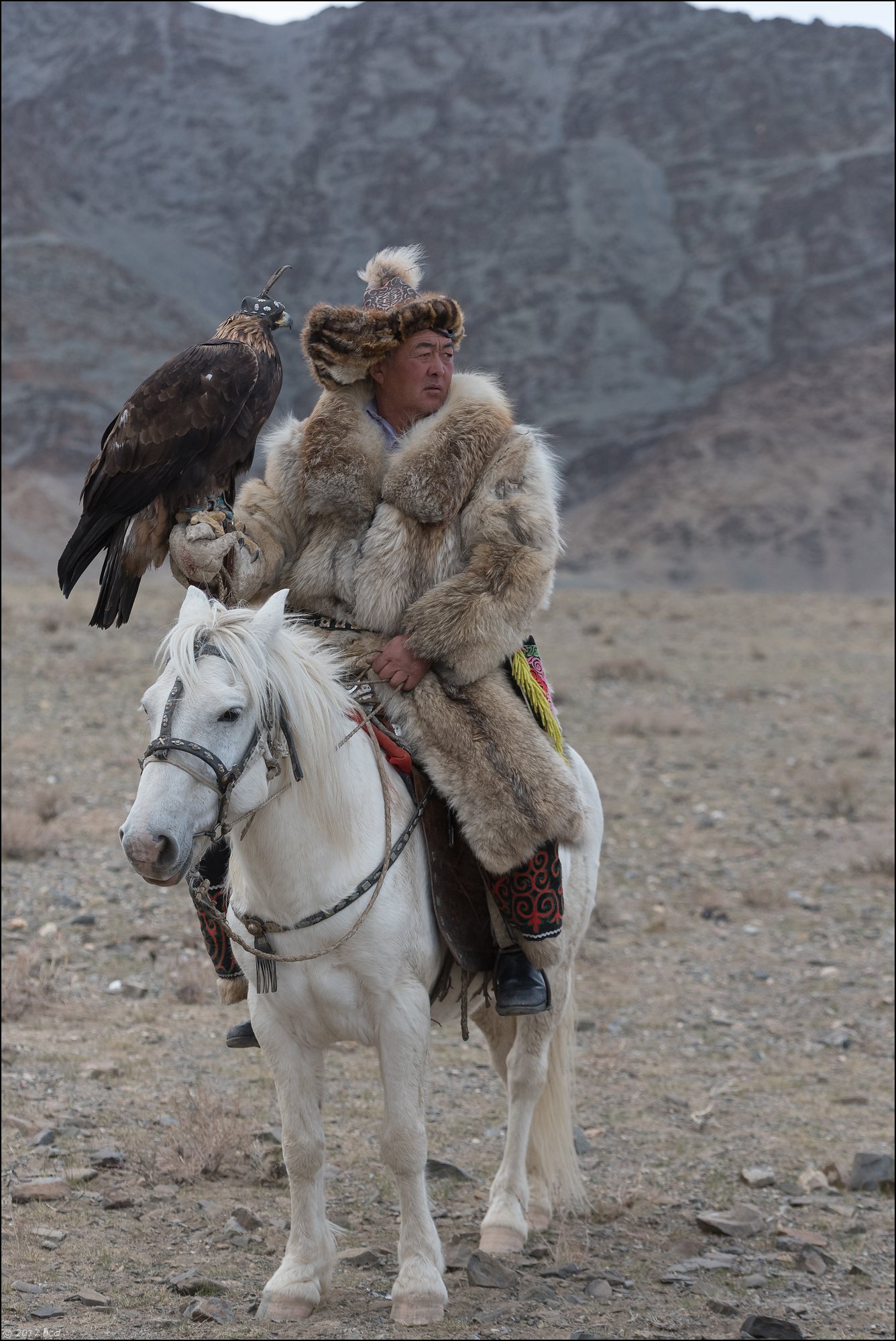 Mongolie-festival-vingtdeux