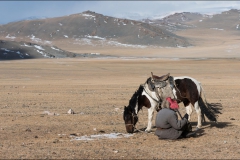 Mongolie-2017-56