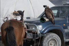 Mongolie-festival-dixneuf