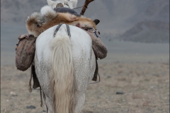 Mongolie-festival-quinze