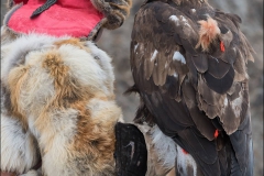 Mongolie-festival-vingtun