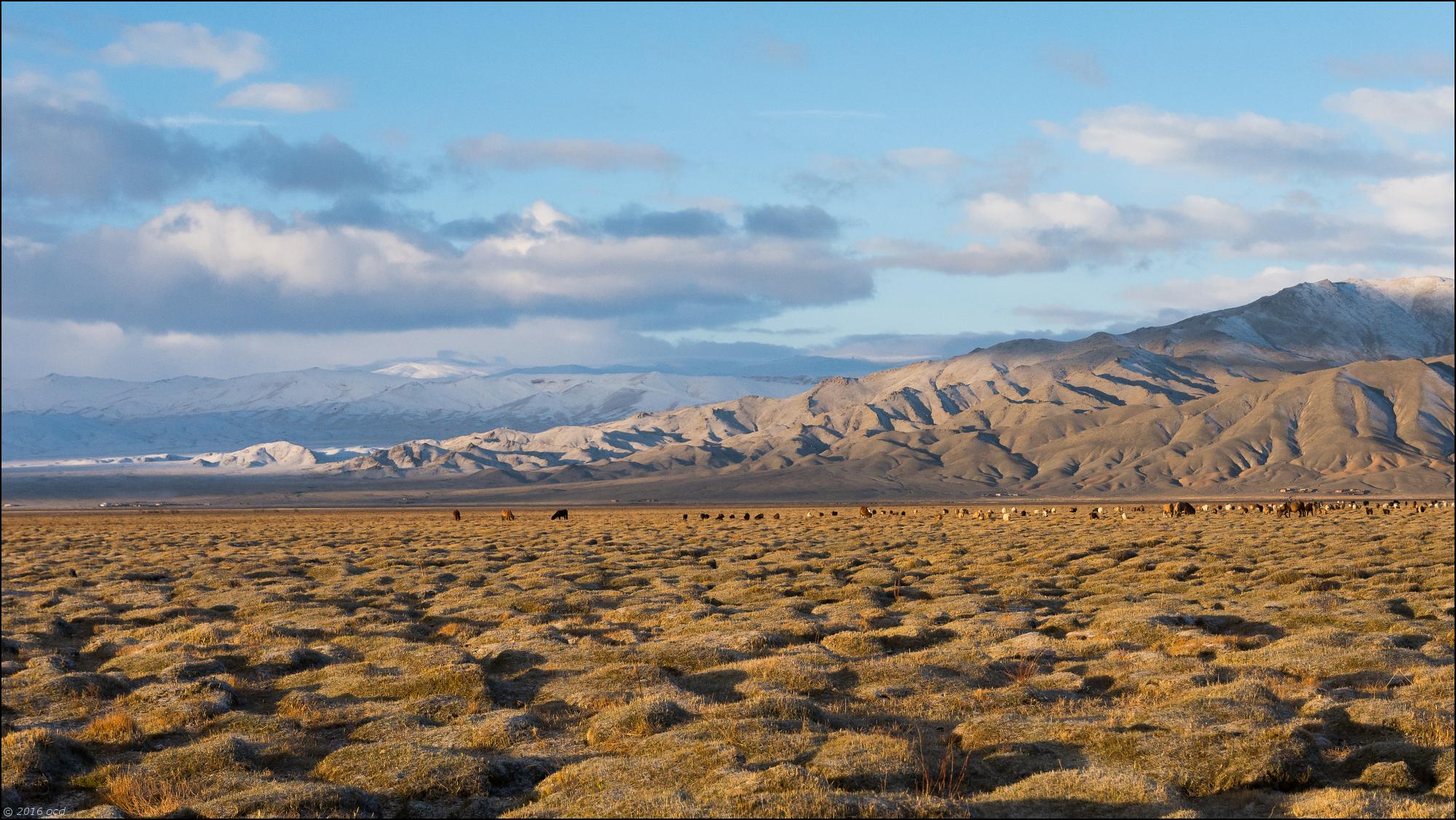 Mongolie-2016-payage-cinq