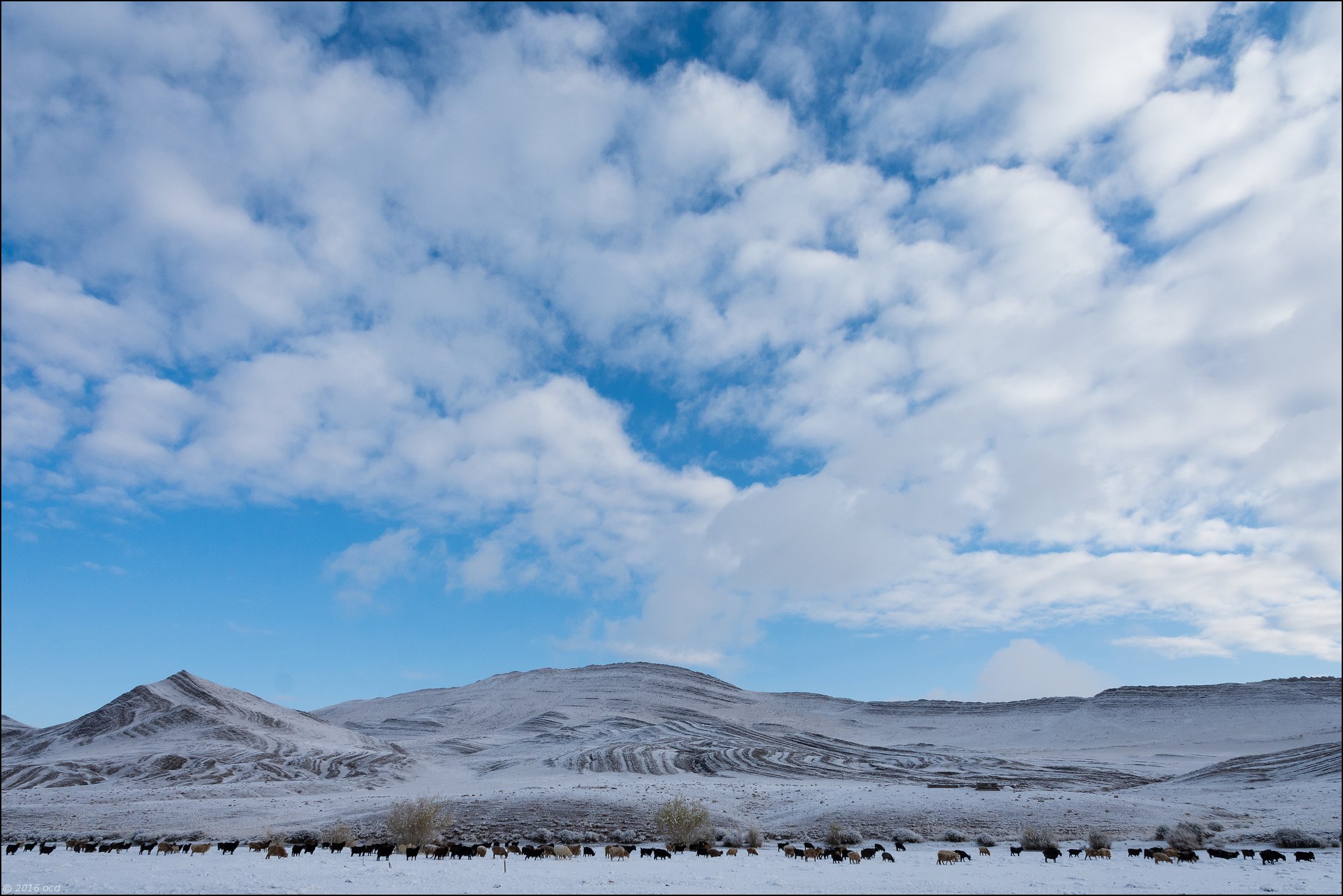 Mongolie-2016-paysage-quatre