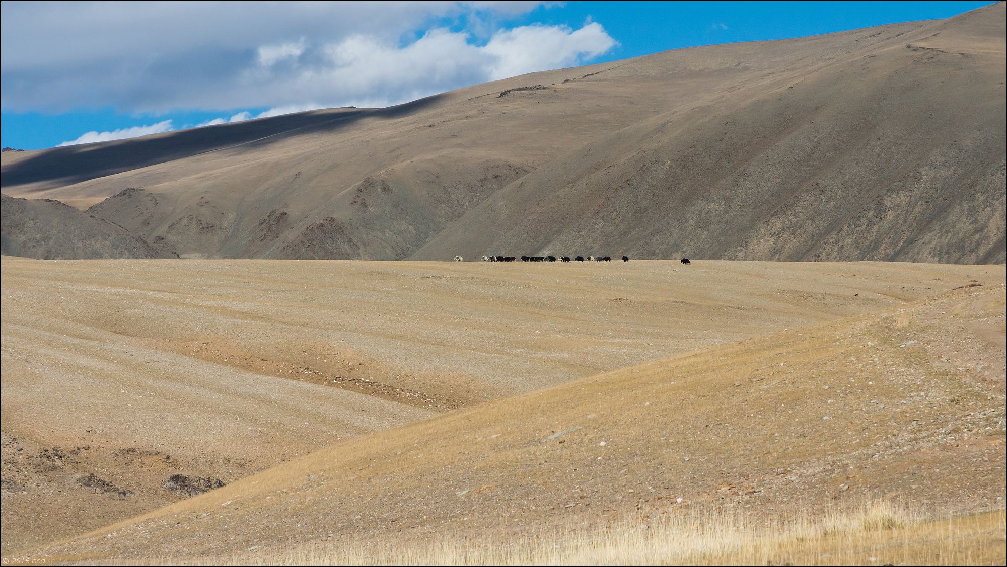 Mongolie-2016-paysage-six