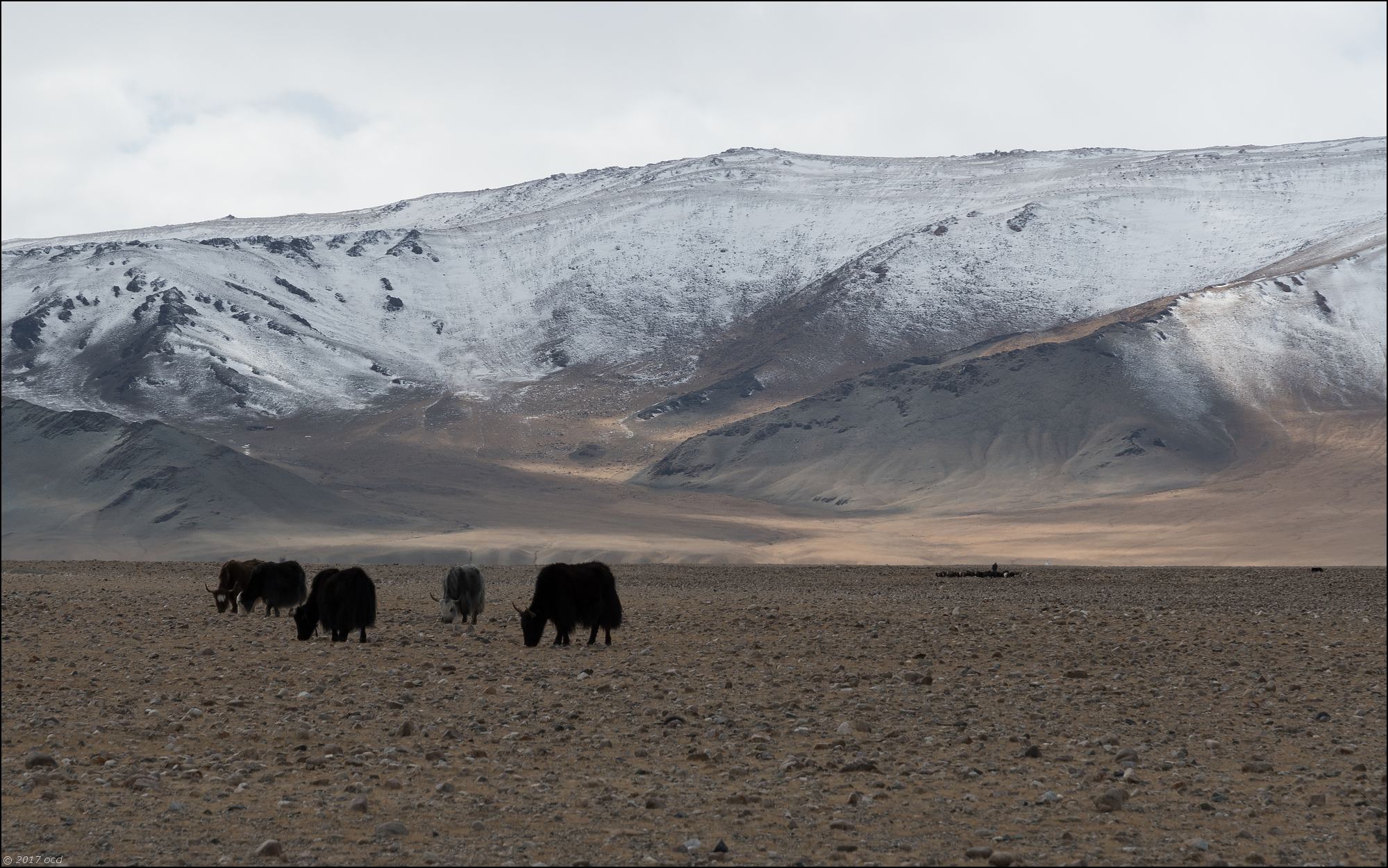 Mongolie-paysage-neuf