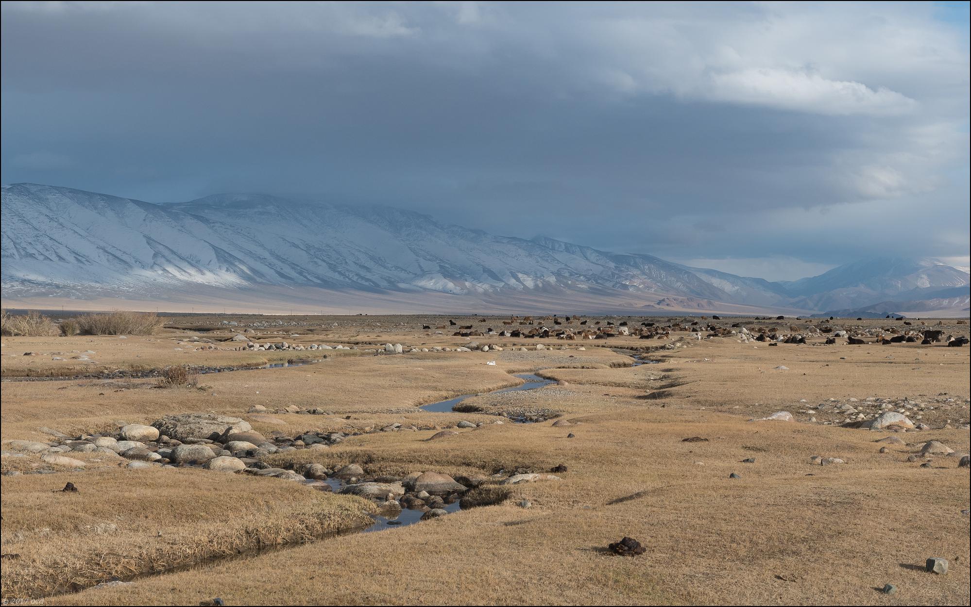 Mongolie-paysage-quatre