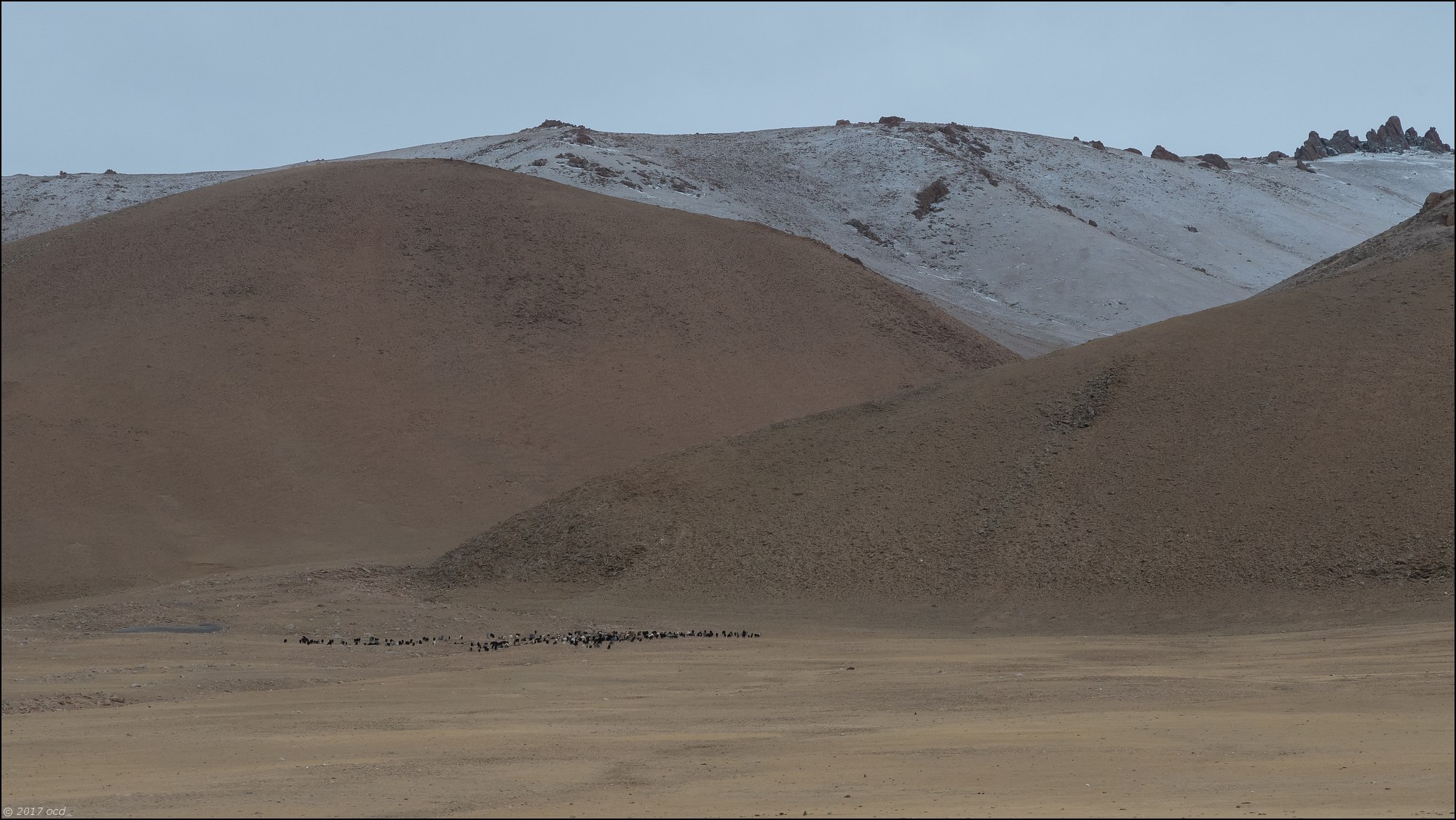 Mongolie-paysage-sept