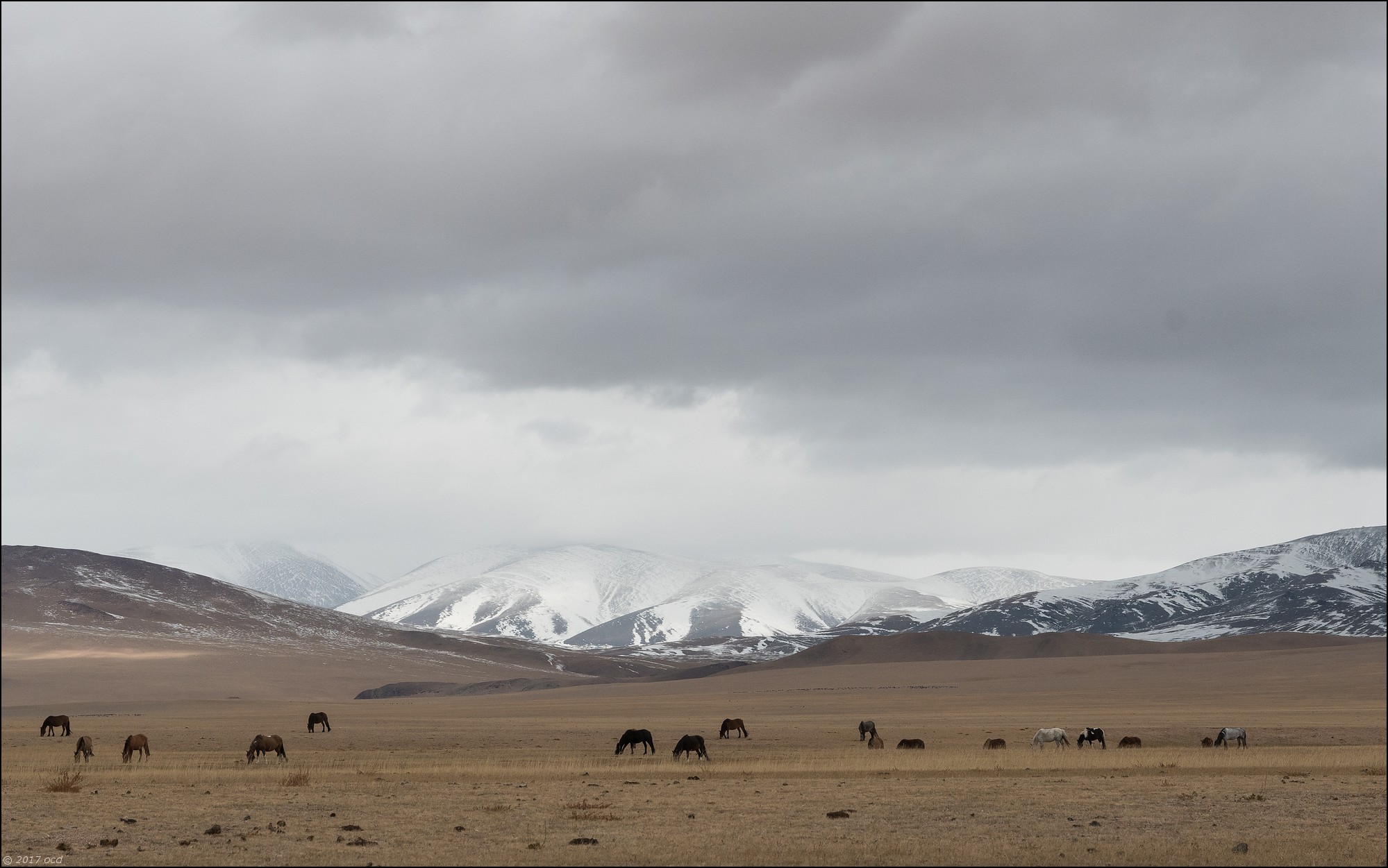 Mongolie-paysage-sept-2