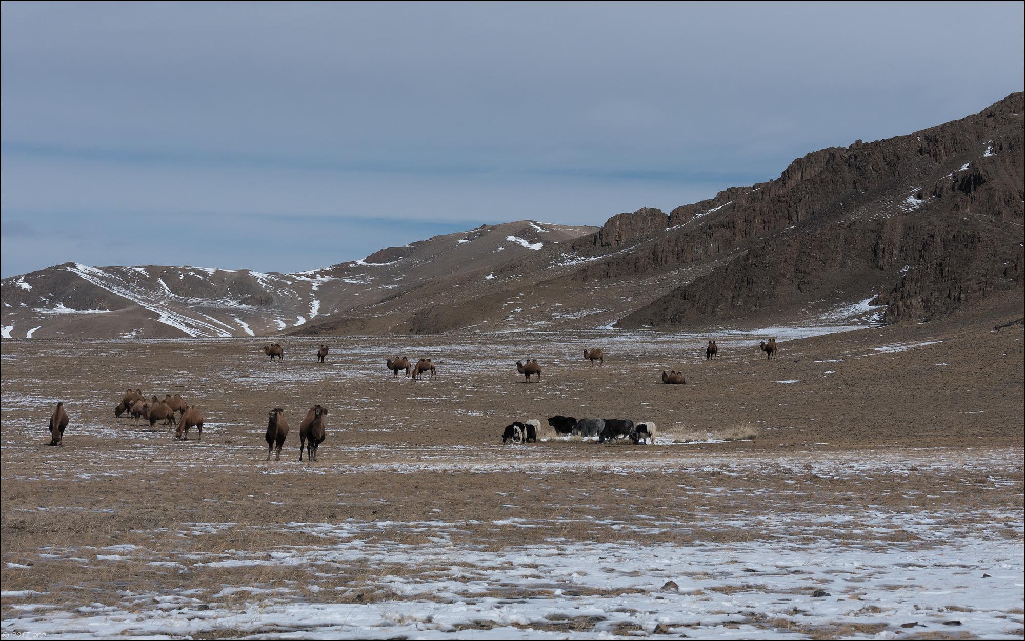 Mongolie-paysage-treize