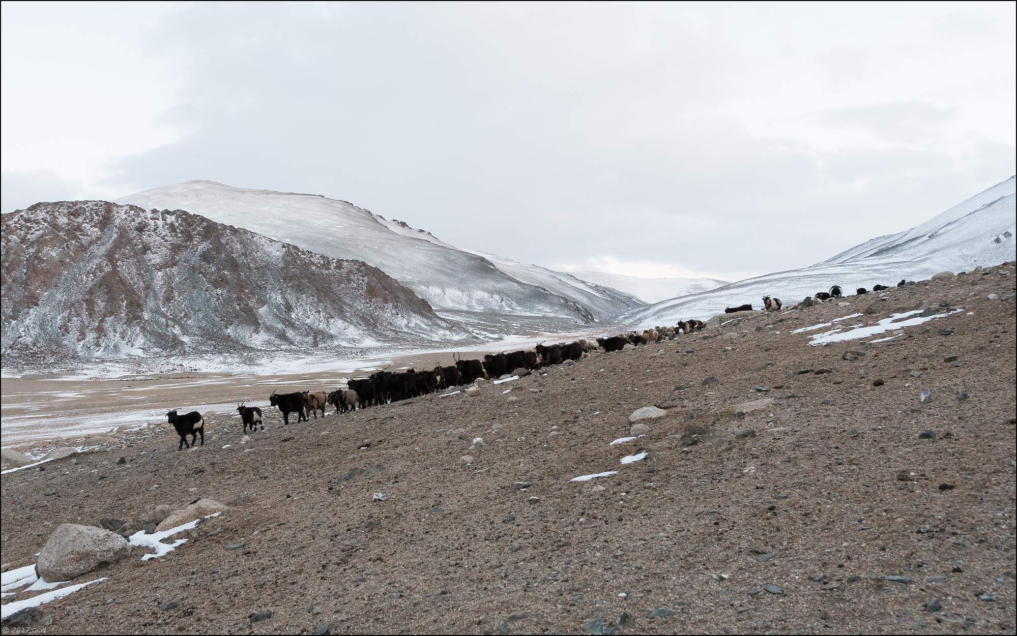 Mongolie-paysage-un-2