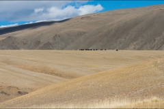 Mongolie-2016-paysage-six