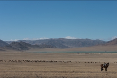 Mongolie-paysage-huit