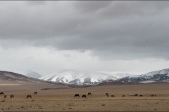 Mongolie-paysage-sept-2