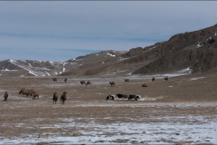 Mongolie-paysage-treize