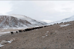 Mongolie-paysage-un-2