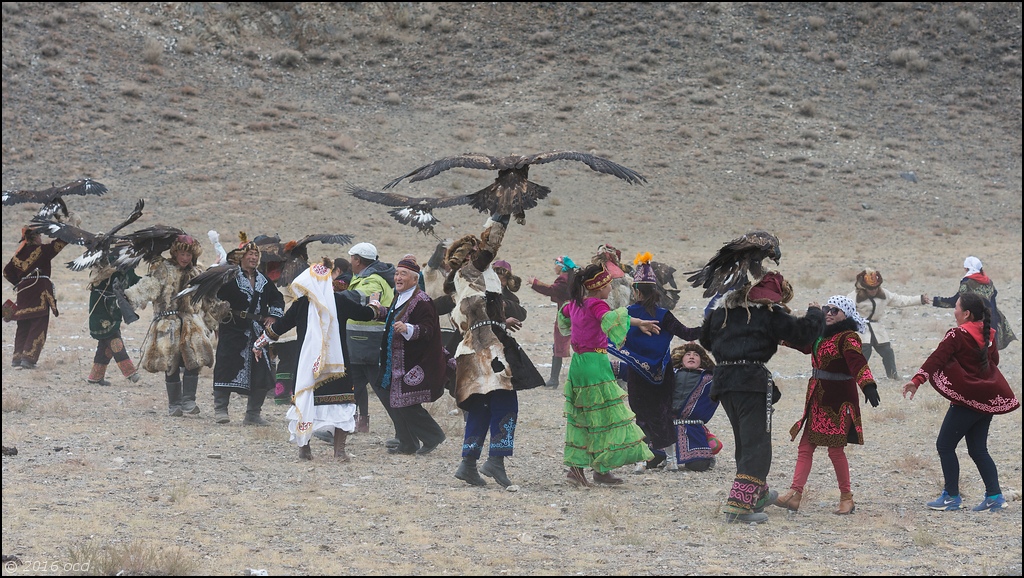 mong-festival-danse