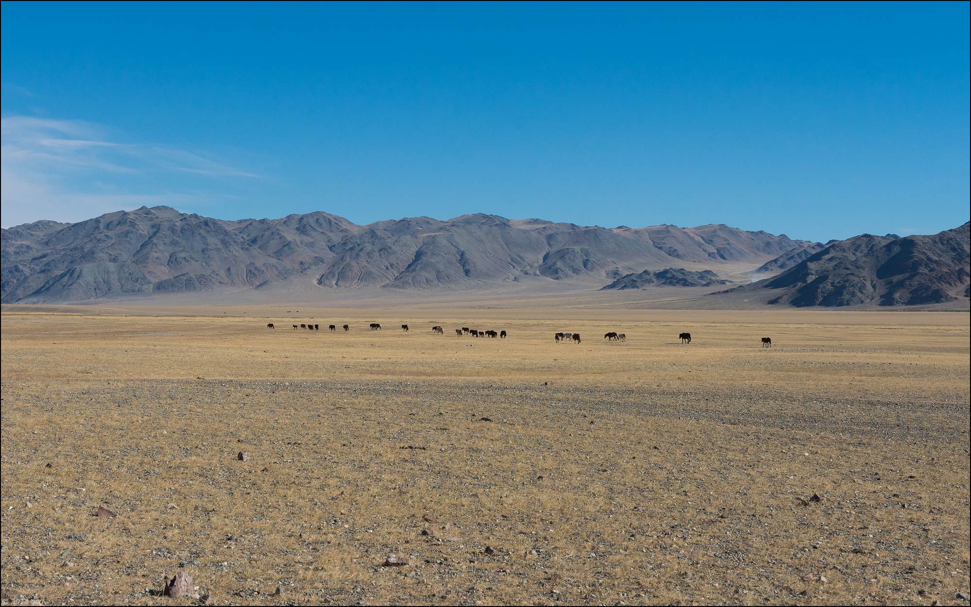 mongolie-paysage-2