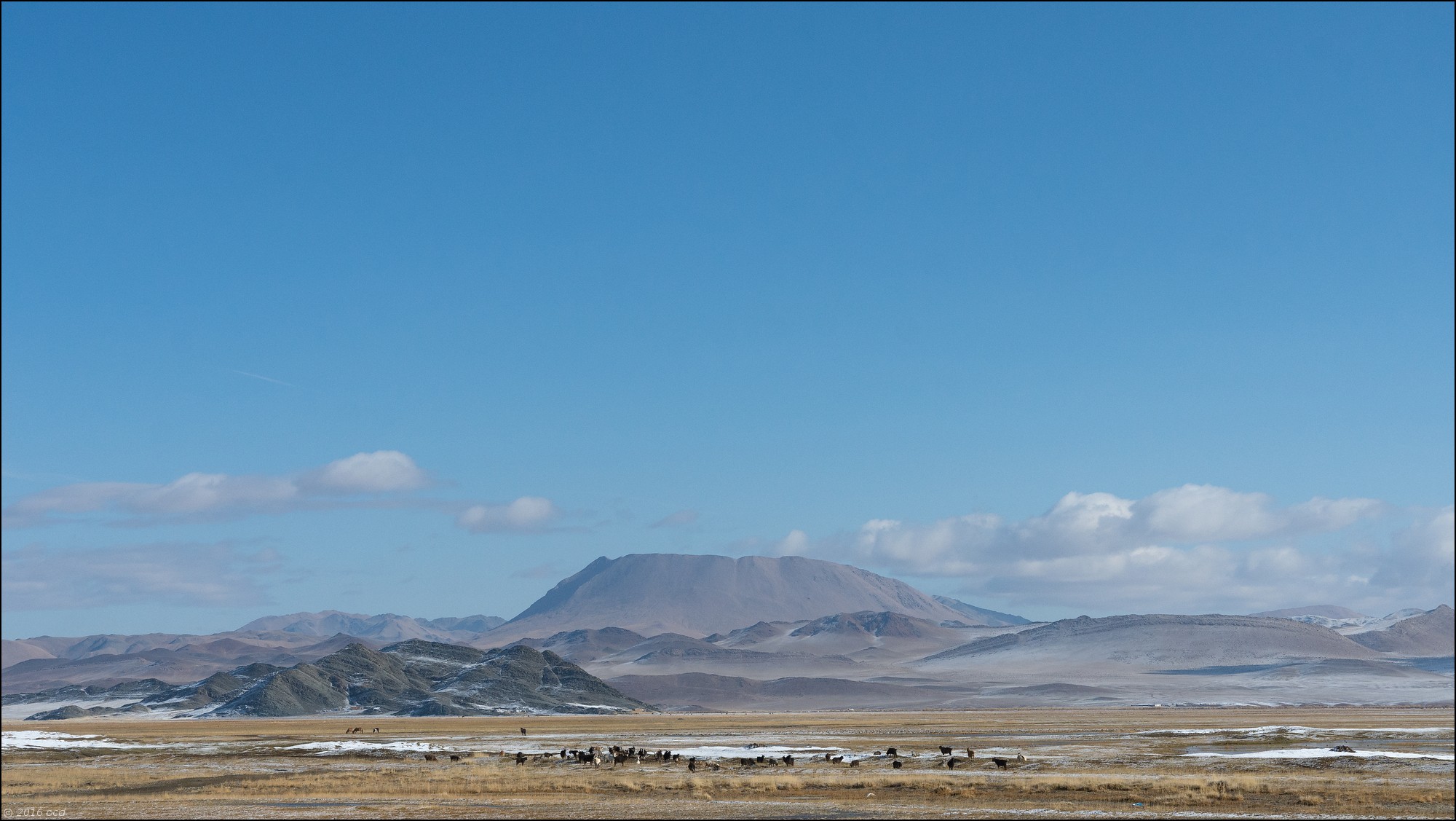 mongolie-paysage