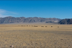 mongolie-paysage-2