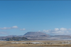 mongolie-paysage